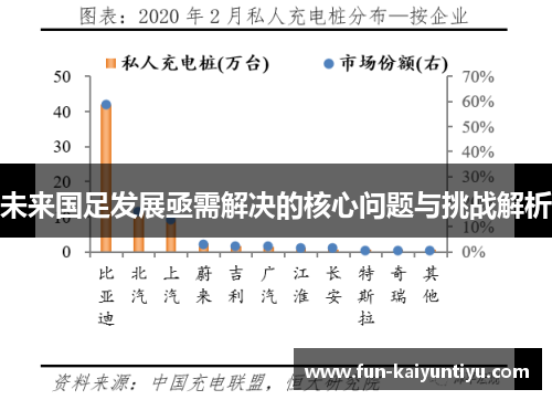 未来国足发展亟需解决的核心问题与挑战解析